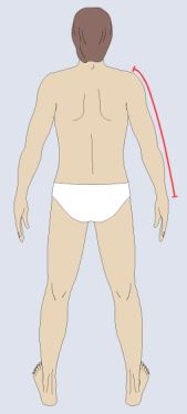 Measure from shoulder tip to wrist. 
Shoulder tip is where you can feel a gap between the shoulder and arm bones. 