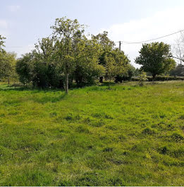 terrain à batir à Saint-Gatien-des-Bois (14)