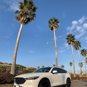 CX-8