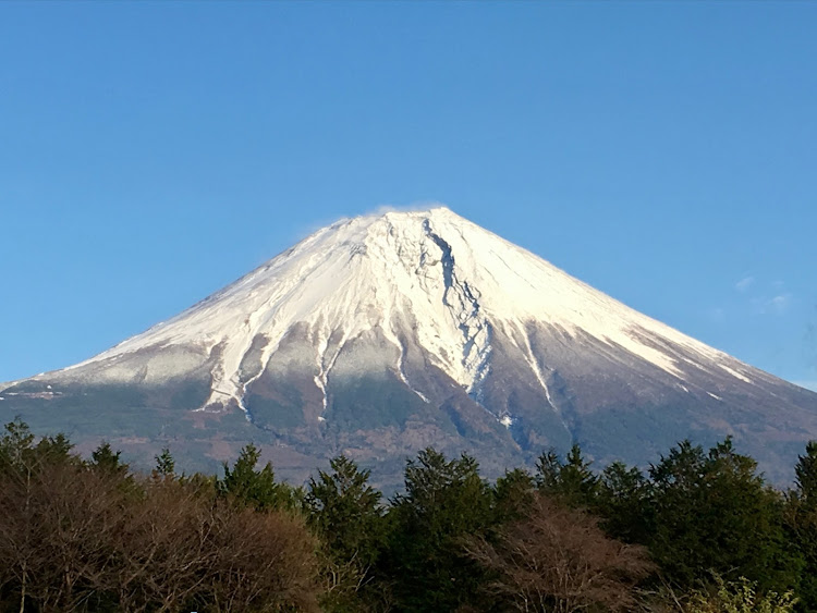 の投稿画像5枚目