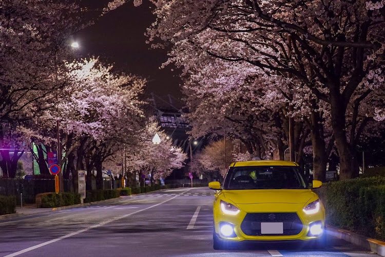 スイフトスポーツの桜とコラボ🌸・夜桜に関するカスタム事例の投稿画像1枚目