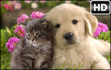 Kittens & Puppies Wallpaper HD New Tab small promo image