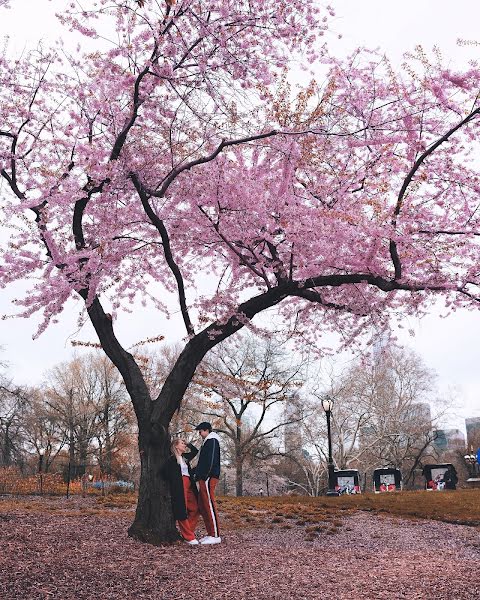 ช่างภาพงานแต่งงาน Vladimir Berger (berger) ภาพเมื่อ 9 เมษายน 2019