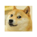 Doge Pricer Chrome extension download