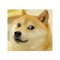 Item logo image for Doge Pricer