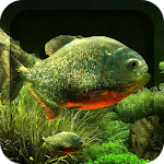 Cover Image of Download 3D Fish Aquarium Wallpaper HD 1.6.2 APK