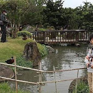 澄霖沉香味道森林館