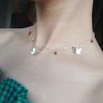 3butterfly 4stars