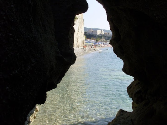 Facce da mare di Alvin