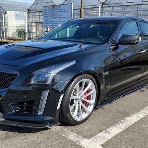 CTS-V