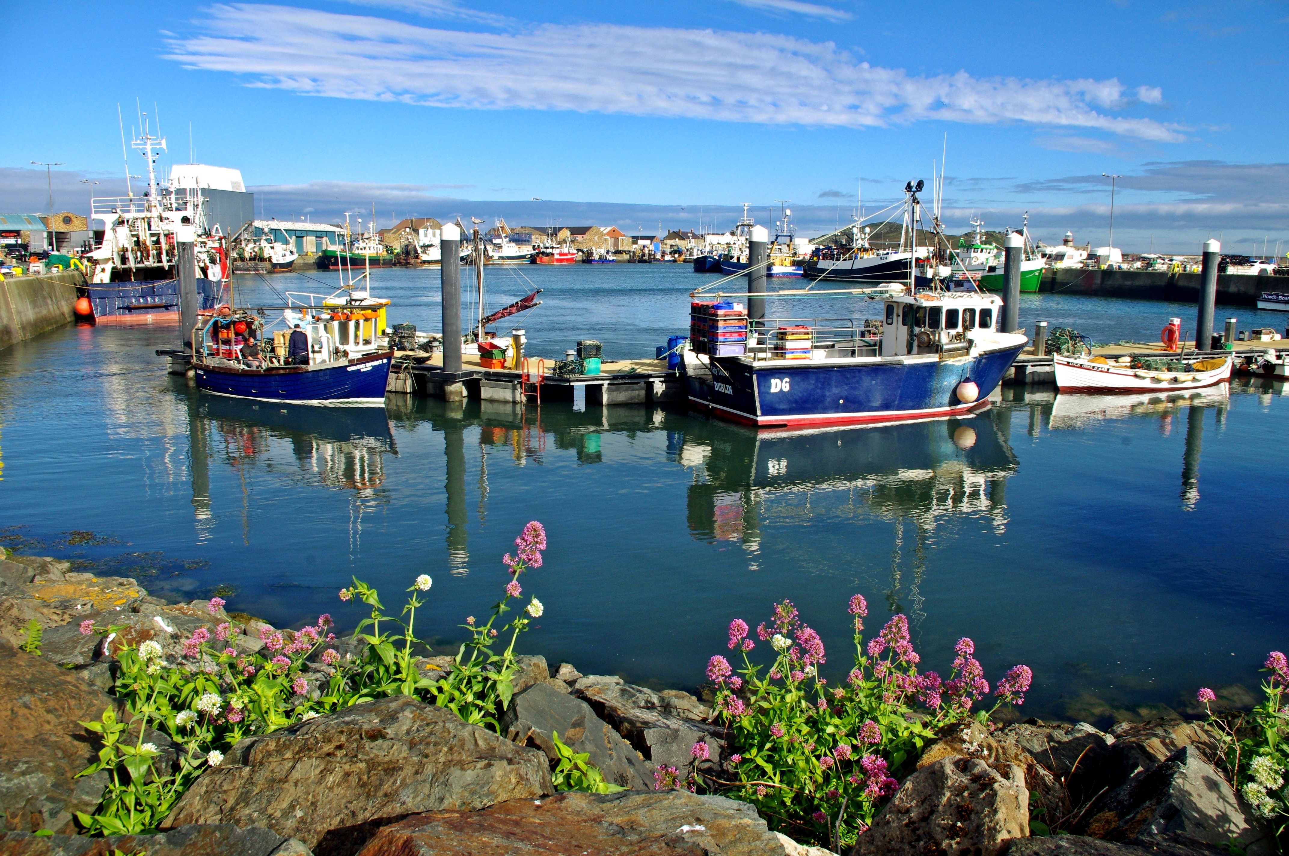 Colori al porto di Howth. di micphotography