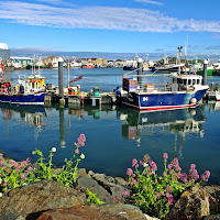 Colori al porto di Howth. di micphotography