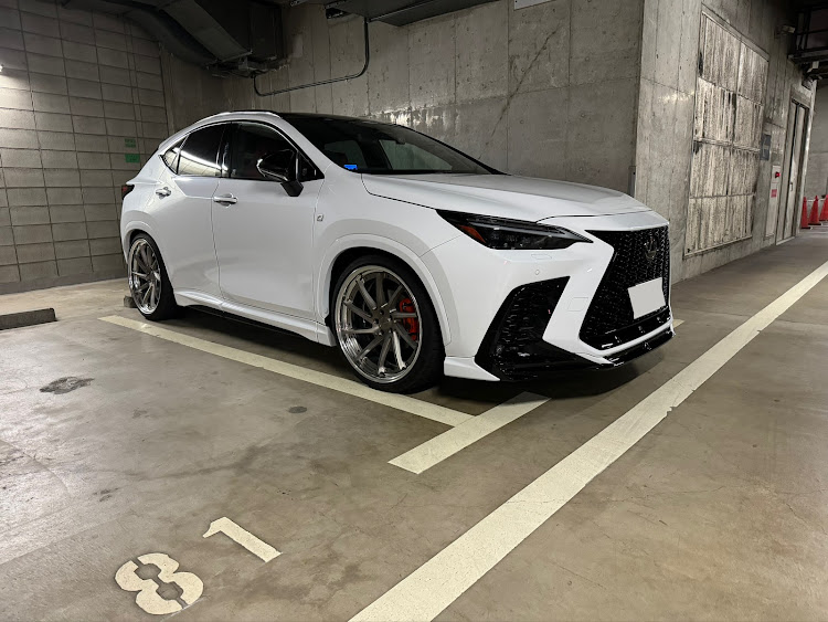 NXのレクサス・洗車・エムズスピードに関するカスタム事例の投稿画像1枚目