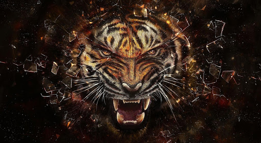 Tigers part 1