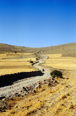 OLTRE LE COLLINE di Moretti Riccardo