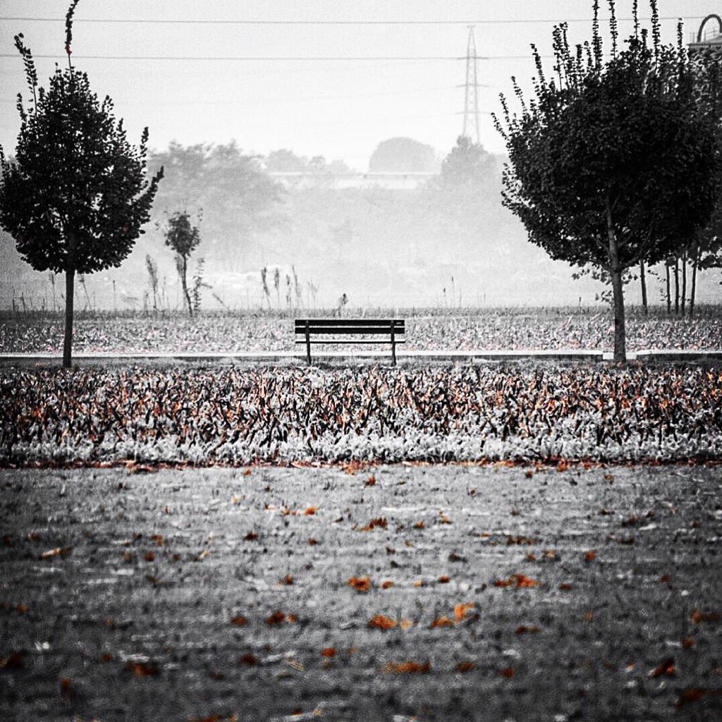 Alone in autumn  di marco_stifanelli