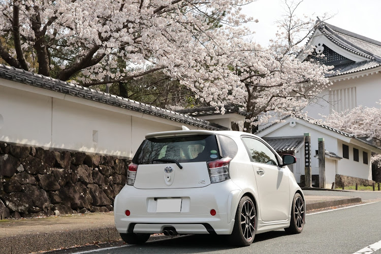 iQの4月もよろしくお願いします・桜とコラボ・下手くそカメラマン・駐車場満車・お花見日和に関するカスタム事例の投稿画像7枚目