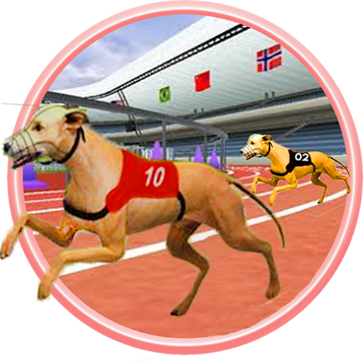 Pet racer. Pet Racer 2003. Sled Race Pet Simulator 99.