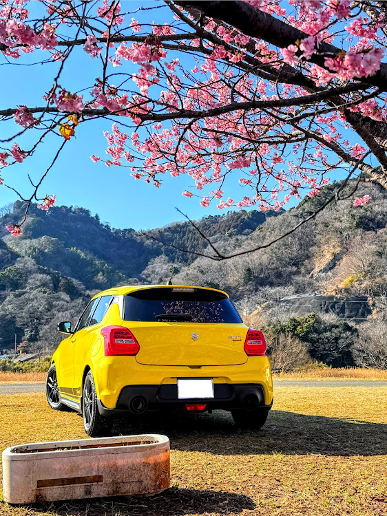 スイフトスポーツのスイスポ乗りと繋がりたい・ZC33S・スイフト・河津桜とコラボに関するカスタム事例の投稿画像2枚目