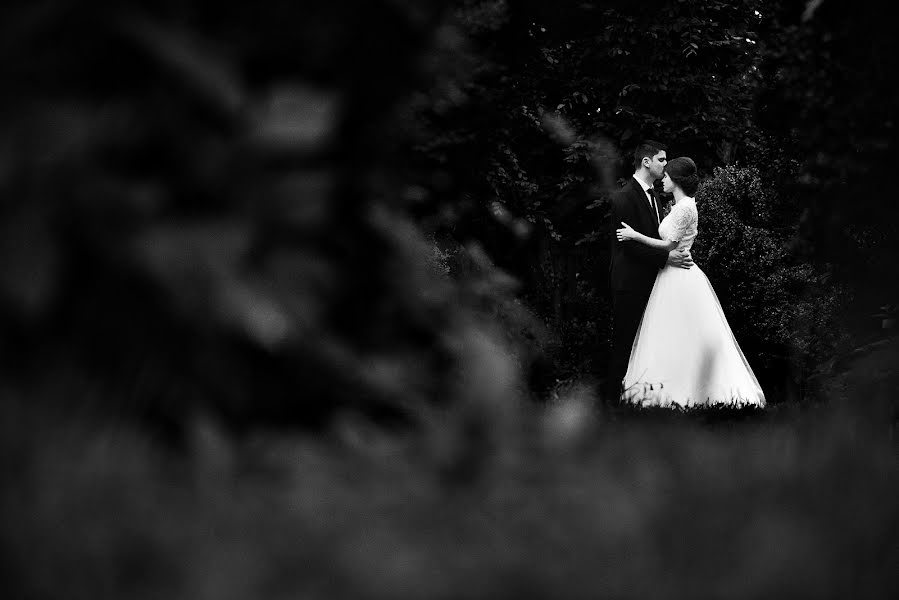 Photographe de mariage Adrian Moscaliuc (adrianmoscaliuc). Photo du 29 janvier 2015