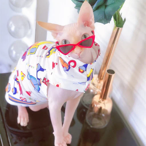 Handsome Sphynx Cat Sunglasses Shoot Decorations Triangle Square Pet Dog Eyewear Glasses mascotas Accessories for Gotas 