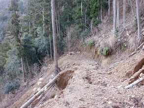 林道は荒れて