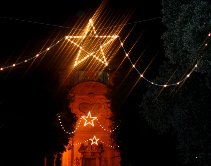 Stelle di natale di amaranto21