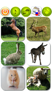 Карточки "Животные Ru-En" - náhled