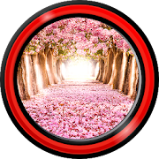 Romantic Live Wallpapers 1.5 Icon