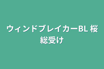 ウィンドブレイカーBL 桜総受け