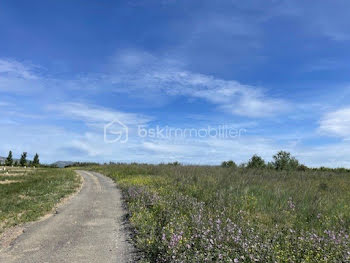 terrain à Rivesaltes (66)