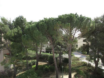 appartement à Sanary-sur-Mer (83)