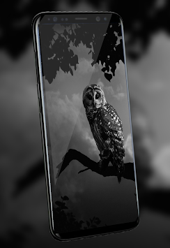 88 Wallpaper Android Burung Hantu HD Terbaik
