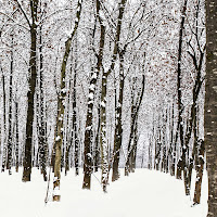 Prima nevicata di 