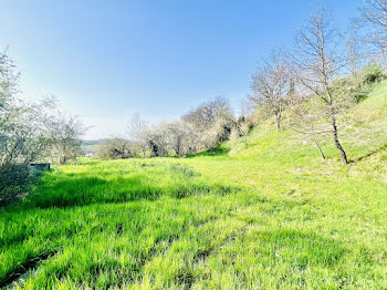 terrain à Saliès (81)