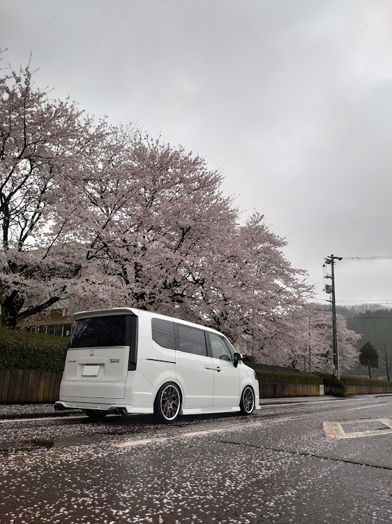 ステップワゴンの桜と愛車・桜コラボ・ドライブに関するカスタム事例の投稿画像2枚目