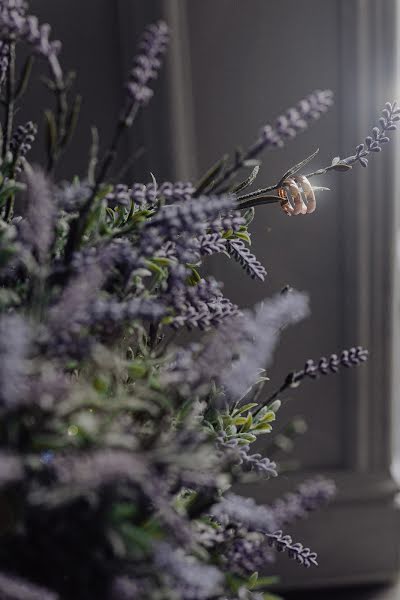 Wedding photographer Aleksandr Tikhomirov (alextixomirov). Photo of 9 August 2019