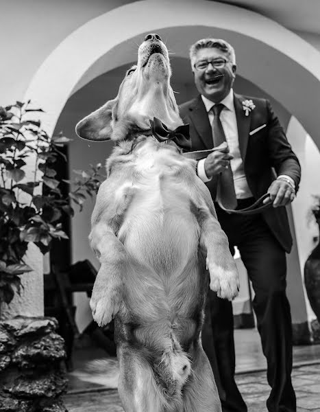 Wedding photographer Antimo Altavilla (altavilla). Photo of 9 January 2016