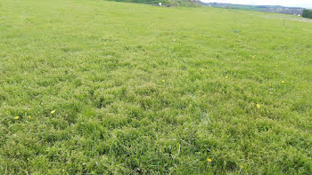 terrain à Saint-Quintin-sur-Sioule (63)