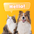 Dog & Cat Translator Prank icon