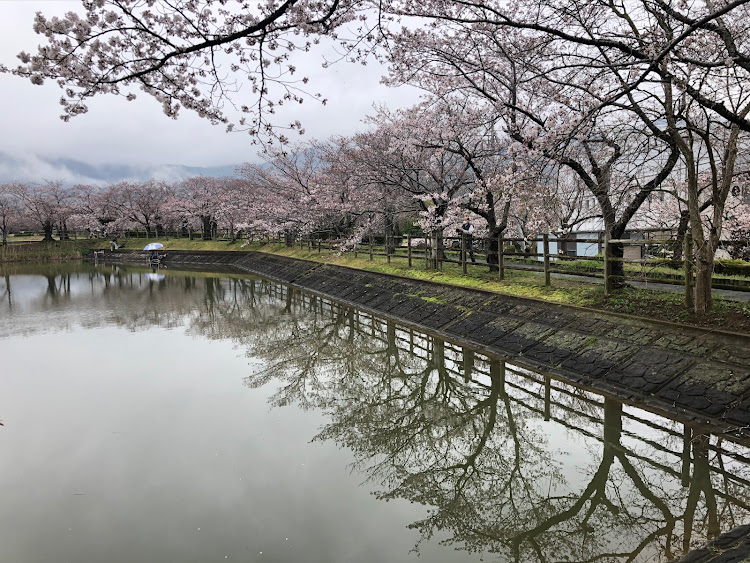 の投稿画像3枚目