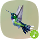 Download Appp.io - Hummingbird Sounds For PC Windows and Mac 1.0.2