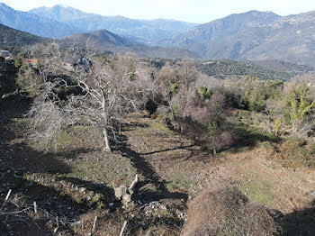 terrain à Valle-di-Rostino (2B)