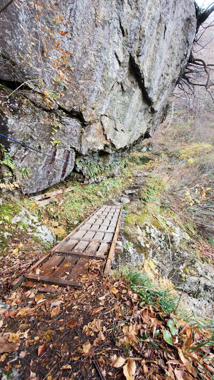 MPVの二週続けて山登り・山の空気は美味しいね(^。^)y-~・出張マッサージ頼みたい・バームクーヘン食べたい！？・記念品はココに関するカスタム事例の投稿画像15枚目