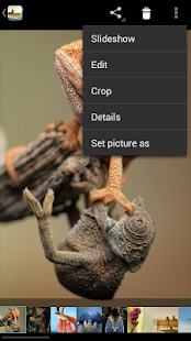 照片相冊（Android系統原生版）(圖6)-速報App