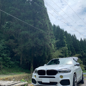 X5 xDrive 35d