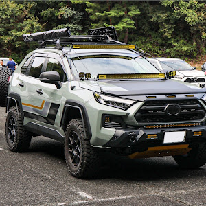 RAV4 MXAA54