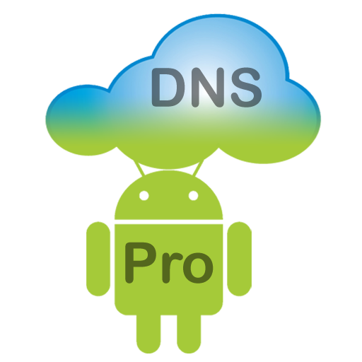 DNS Server Pro