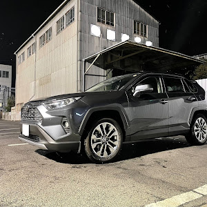 トヨタ　RAV4用　D-TEC ボディダンパー