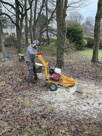 Stump grinding album cover